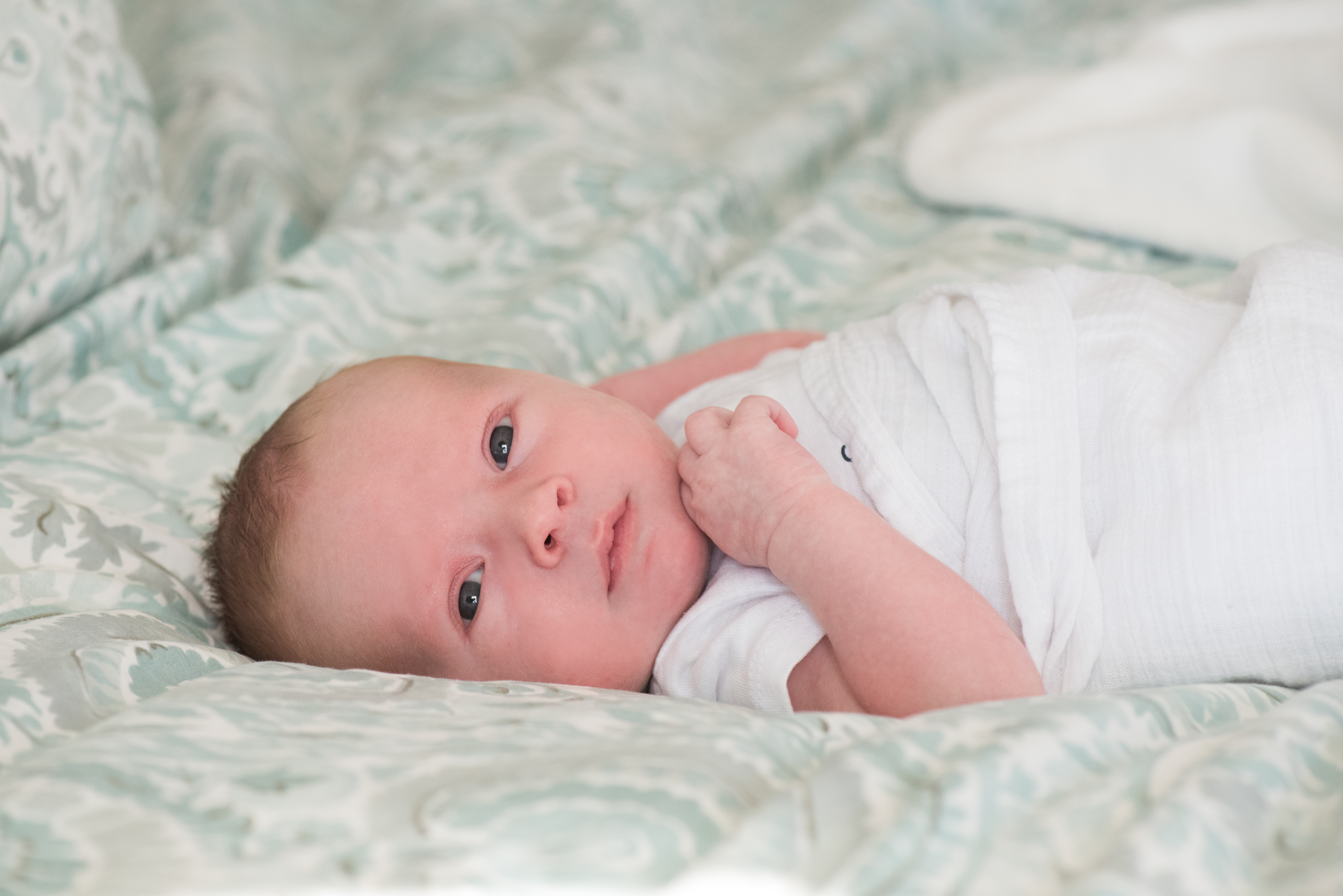 North Andover Family Photgrapher00007